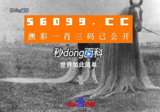 澳门一肖一码一必中一肖,实地解读说明_eShop62.558