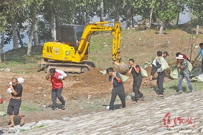 三阳乡交通新闻，交通建设蓬勃发展