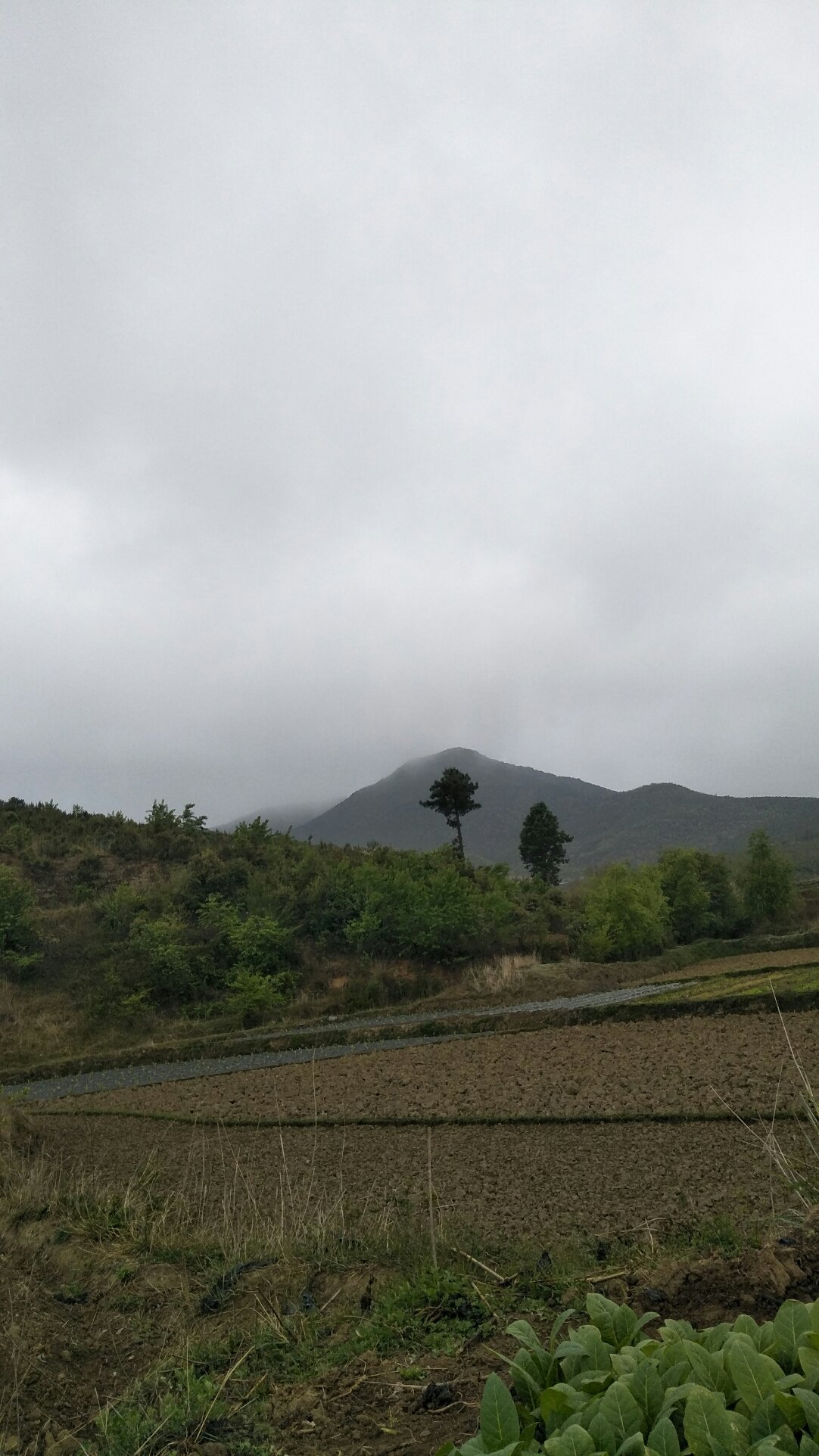 驮堪乡天气预报更新通知