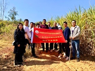 浅水镇未来繁荣蓝图，最新发展规划揭秘