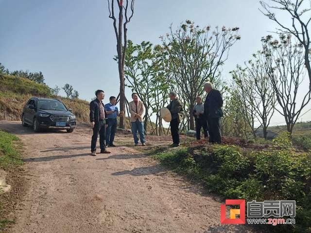 荣县公路运输管理事业单位最新动态发布